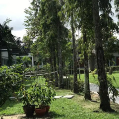 Отель Adarin Beach Resort 3* Люкс с различными типами кроватей фото 14