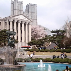 Отель CMS Inn Seoul Guesthouse