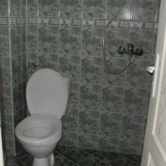 Отель Vlad - Tanya Guest House ванная