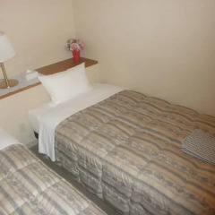 Business Hotel Goi Hills 2* Стандартный номер фото 6