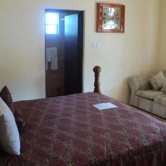Rich View Hotel комната для гостей фото 2