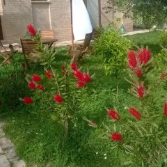Отель Agriturismo Bassarì Италия, Реканати - отзывы, цены и фото номеров - забронировать отель Agriturismo Bassarì онлайн фото 2