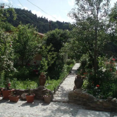 Отель Nina B&B Армения, Дилижан - отзывы, цены и фото номеров - забронировать отель Nina B&B онлайн приотельная территория