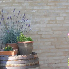 Отель Agriturismo Bassarì Италия, Реканати - отзывы, цены и фото номеров - забронировать отель Agriturismo Bassarì онлайн фото 14