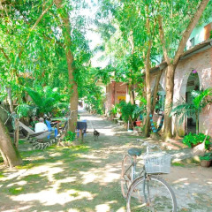 Отель Hai Anh Guesthouse Стандартный номер с двуспальной кроватью фото 11