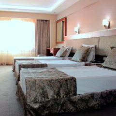Hotel Buyuk Paris 3* Номер Делюкс с различными типами кроватей фото 6