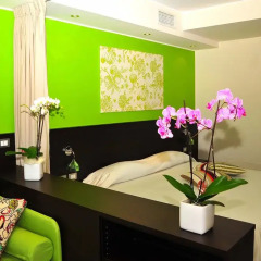 Hotel Desiree 4* Полулюкс