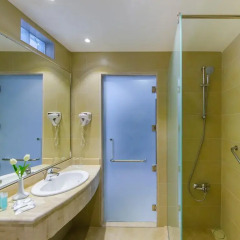 Toledo Hotel 4* Представительский люкс с различными типами кроватей