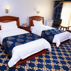 Отель Cron Palace Tbilisi 4* Стандартный номер фото 11