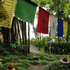 Отель Dhulikhel Lodge Resort Непал, Дхуликхел - отзывы, цены и фото номеров - забронировать отель Dhulikhel Lodge Resort онлайн фото 8