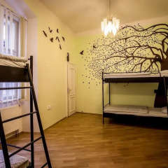 Ahoy! Hostel Кровать в общем номере с двухъярусной кроватью