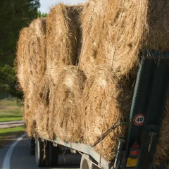 Отель Articiocco Каварцере приотельная территория