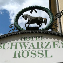 Отель Schwarzes Rössl Австрия, Зальцбург - 1 отзыв об отеле, цены и фото номеров - забронировать отель Schwarzes Rössl онлайн с домашними животными