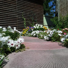 Гостиница guest house Elizaveta парковка