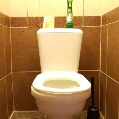 Гостиница DeLuxe Apartment Starobitsevskaya в Москве отзывы, цены и фото номеров - забронировать гостиницу DeLuxe Apartment Starobitsevskaya онлайн Москва ванная