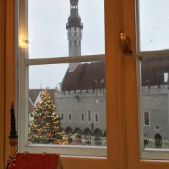 Апартаменты Best Apartments - Raekoja Square удобства в номере