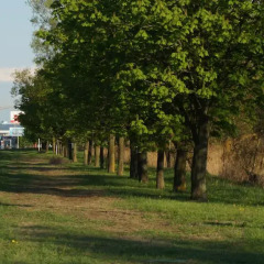 Отель Minsk Arena Panoramic View Минск фото 2