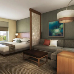 Отель Hyatt Place Detroit/Novi 3* Стандартный номер с различными типами кроватей фото 5
