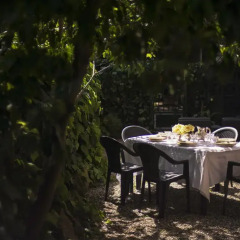 Апартаменты Vatican House Apartment питание