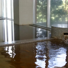 Отель Japanese Auberge Plaza Ryokufu Natural Hot Spring спа фото 2