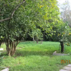Отель Casa Vacanze Medea Сиракуза фото 10