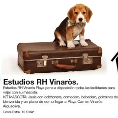 Отель Estudios RH Vinaros с домашними животными