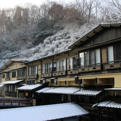Отель Kurokawa Onsen Yama No Yado Shinmeikan Минамиогуни фото 2