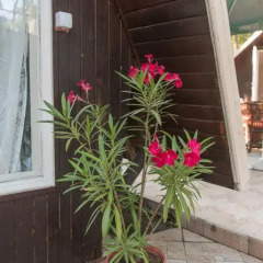 Отель Sirena Holiday Park Бунгало фото 19