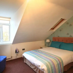 Отель Primrose Guest House 3* Стандартный номер с различными типами кроватей