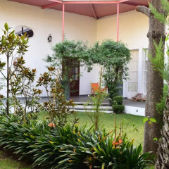 Отель La Casa de las Magnolias Мексика, Мехико - отзывы, цены и фото номеров - забронировать отель La Casa de las Magnolias онлайн фото 5