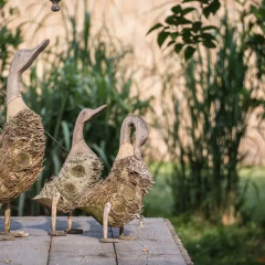 Отель Glamping Canonici di San Marco Италия, Мирано - отзывы, цены и фото номеров - забронировать отель Glamping Canonici di San Marco онлайн фото 4