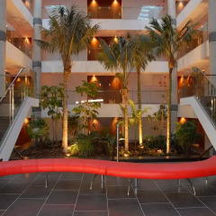 Отель Port Elche Испания, Эльче - отзывы, цены и фото номеров - забронировать отель Port Elche онлайн бассейн фото 2
