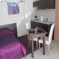 Отель Apartamenty Brzozowa - Centrum Закопане в номере фото 2