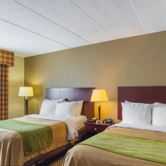 Отель Comfort Inn Washington Dulles International комната для гостей