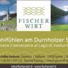 Отель Fischerwirt Сарентино с домашними животными