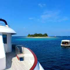Отель Honors Legacy Yacht Мальдивы, Остров Гасфинолу - отзывы, цены и фото номеров - забронировать отель Honors Legacy Yacht онлайн бассейн фото 2