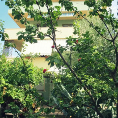 Апартаменты Abruzzoland Apartments Монтезильвано фото 7
