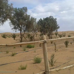 Отель Bambara Desert Camps Марокко, Мерзуга - отзывы, цены и фото номеров - забронировать отель Bambara Desert Camps онлайн балкон