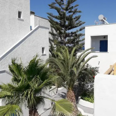 Отель Azalea Studios & Apartments Греция, Остров Санторини - отзывы, цены и фото номеров - забронировать отель Azalea Studios & Apartments онлайн фото 7