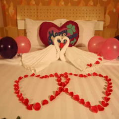 Отель Hanoi Guesthouse Люкс