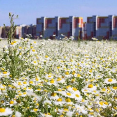 Гостиница Hostel Plekhanovo в Тюмени отзывы, цены и фото номеров - забронировать гостиницу Hostel Plekhanovo онлайн Тюмень фото 2