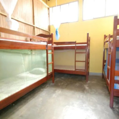 Отель Pariango Beach Motel 2* Кровать в мужском общем номере с двухъярусной кроватью фото 3