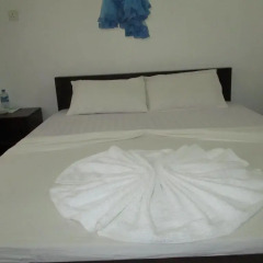 Отель Travel Lodge Lake View Tourist Resort комната для гостей фото 5