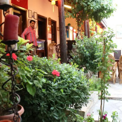 Boomerang Guesthouse Турция, Сельчук - отзывы, цены и фото номеров - забронировать отель Boomerang Guesthouse онлайн фото 3