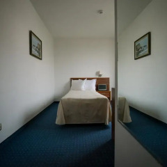 BEST WESTERN Park Hotel 3* Номер Эконом с разными типами кроватей фото 3
