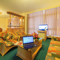 Green Hotel 4* Президентский люкс с различными типами кроватей фото 2