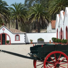 Отель House in a Farm 2km from the Ericeira Beach