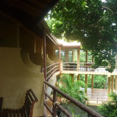 Отель Laluna Ayurveda Resort Шри-Ланка, Бентота - отзывы, цены и фото номеров - забронировать отель Laluna Ayurveda Resort онлайн фото 3