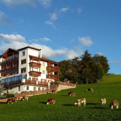 Отель Pension Schlaneiderhof 2* Стандартный номер фото 2