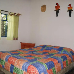 Hotel Cabanas Paradise комната для гостей фото 4
